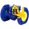 ZAWÓR ZWROTNY FIG.287/31 DN65 PN16