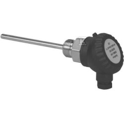 CZUJNIK ESMU-100 ZANURZ.100MM G1/2" SS