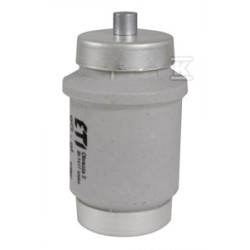 DIV/GF 100A 500V(BIWTS)WKŁ.TOPIKOWA SZY