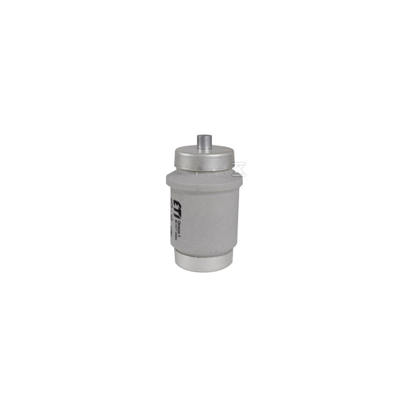DIV/GF 100A 500V(BIWTS)WKŁ.TOPIKOWA SZY