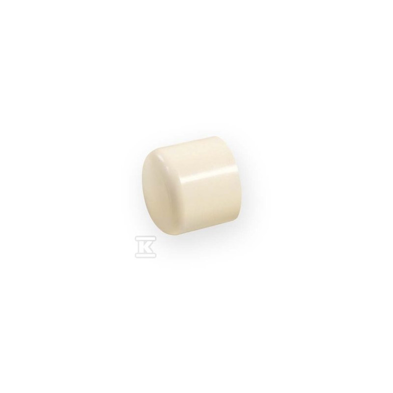 ZAŚLEPKA KW 3/4" PVC-C