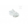 WTYK RJ45 DRUT (8P8C)