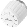 OGRANICZNIK TEMP.POWR FJVR 10-80C-CZUJKA