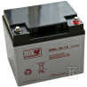 AKUMULATOR AGM 12V/45AH/10-12LAT