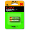 AKUMUL.650MAH NIMH 2XLR3
