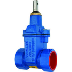ZASUWA DO WODY GWINTOWANA ZG2 DN50 GJS