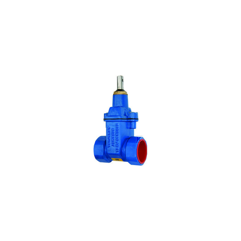 ZASUWA DO WODY GWINTOWANA ZG2 DN50 GJS