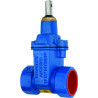 ZASUWA DO WODY GWINTOWANA ZG2 DN40 GJS