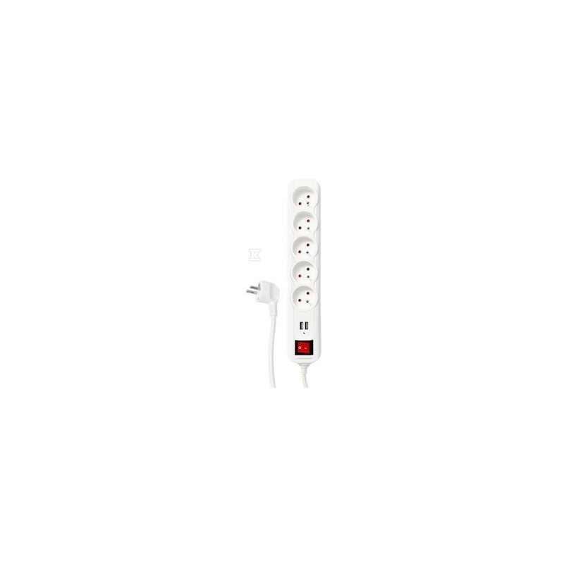 LISTWA OCHR.5GN.Z/U Z W.2XUSB BIA.1,5M