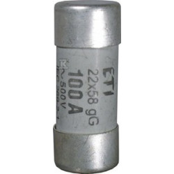 WKŁADKA CH22X58 GG 100A/500V