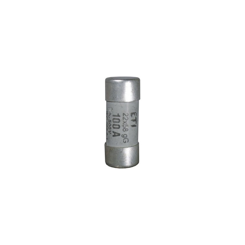 WKŁADKA CH22X58 GG 100A/500V