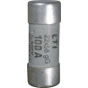 WKŁADKA CH22X58 GG 100A/500V