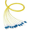 PIGTAIL SM 9/125, LC/PC DŁ.2M