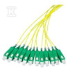 PIGTAIL SM 9/125, SC/APC DŁ.2M