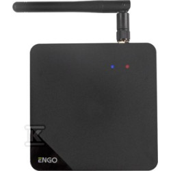 BRAMKA INTERNETOWA ENGO EGATE-PRO